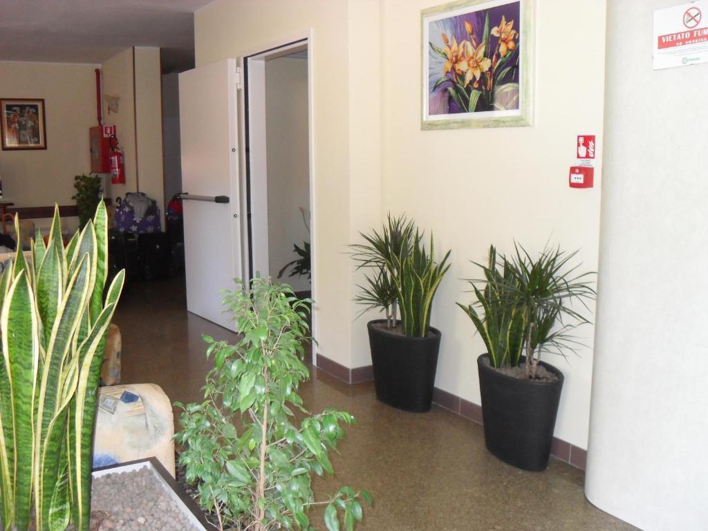 Hotel Zani Cervia Exterior foto